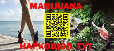 трава Гатчина