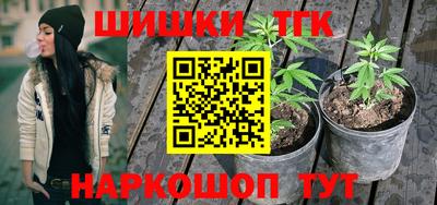прущий лед Гай