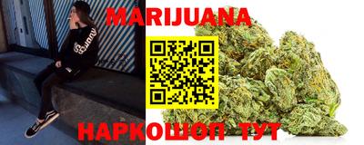 трава Гатчина