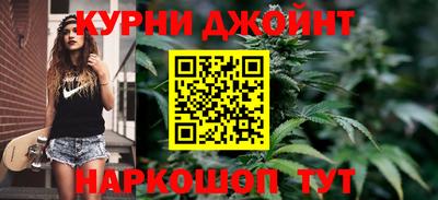 трава Гатчина