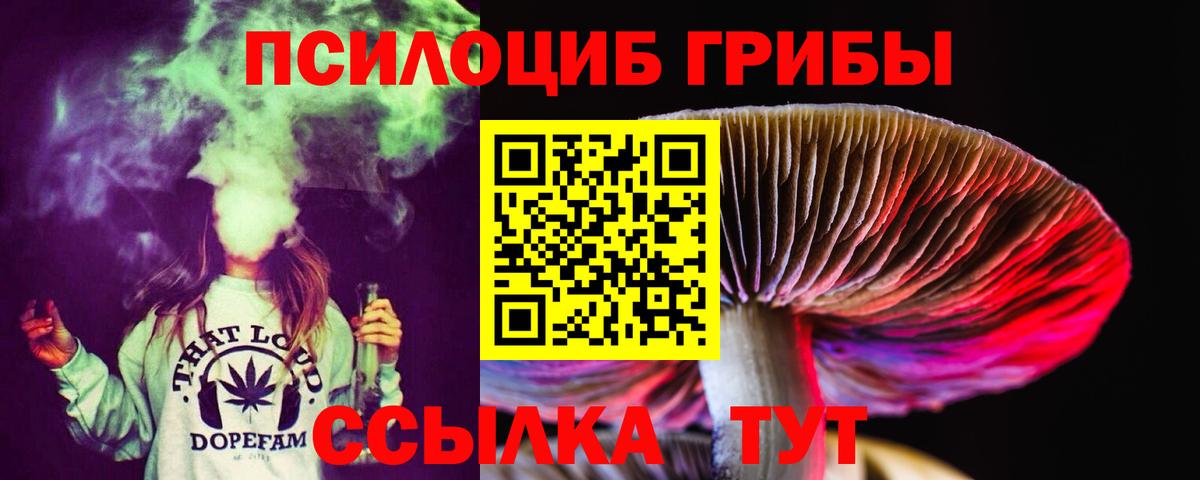 Галлюциногенные грибы Cubensis Мыски